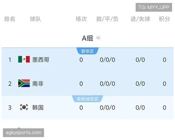 世界杯A组南非能否成为韩国队意外挑战